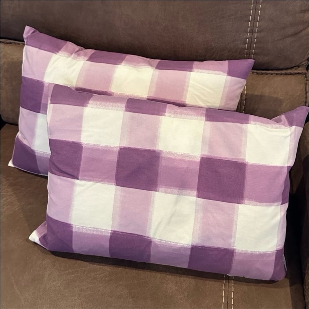 2 Purple Buffalo Check Pillows